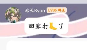 【文件】有关站长Ryan的重要指示-NekoGAL - Galgame传递者