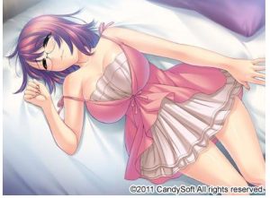 【 ADV/PC/AI汉化/百度/迅雷/UC】CandySoft14部游戏合集 【65GB】-资源交流论坛-公共版-NekoGAL - Galgame传递者