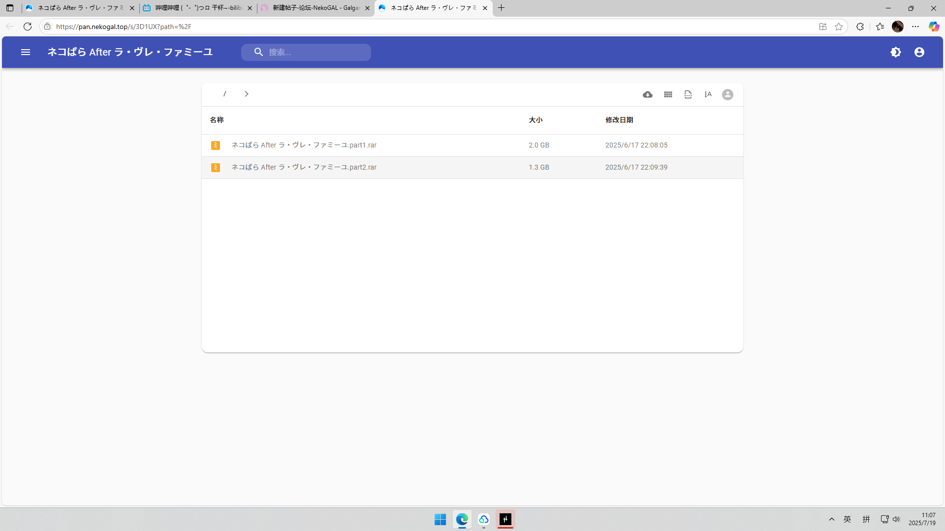 游戏启动问题-NekoGAL - Galgame传递者