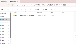 这个咋回事啊-NekoGAL - Galgame传递者