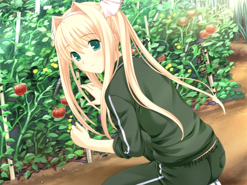 2fd05663d1c8bb5cb3749305d346596e13455735