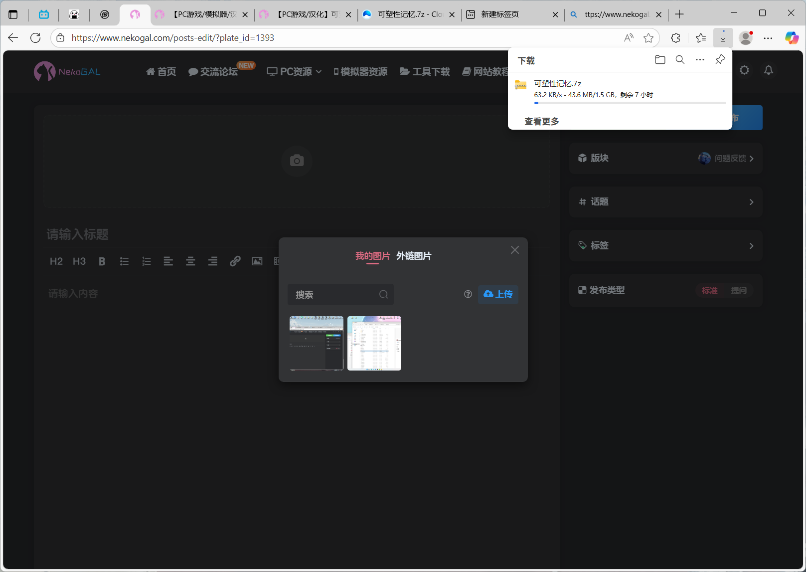 网盘限速很慢-NekoGAL - Galgame传递者