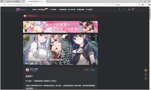 没有汉化怎么办呀-NekoGAL - Galgame传递者