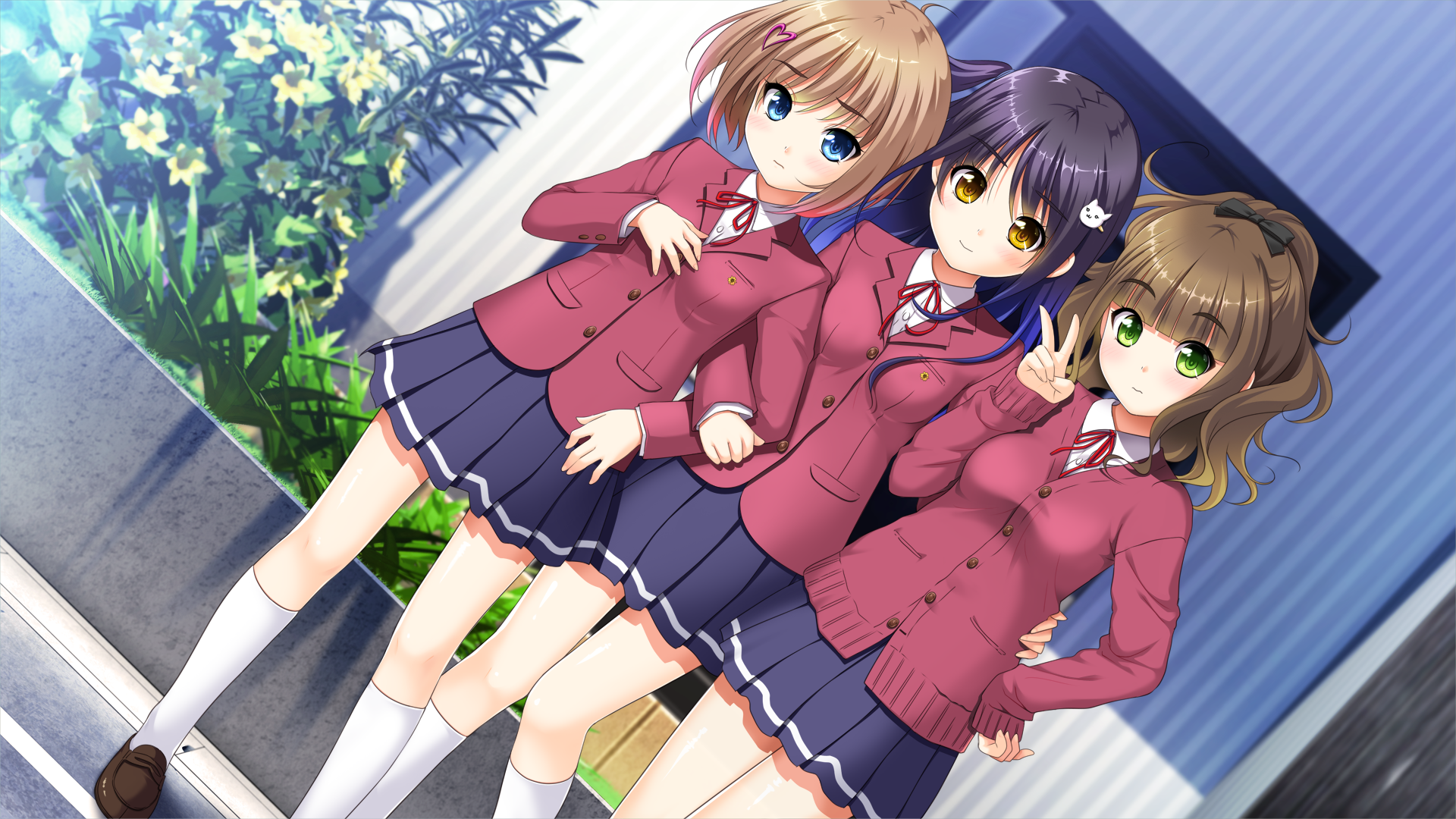 【PC游戏/机翻】最喜欢哥哥了！-NekoGAL - Galgame传递者