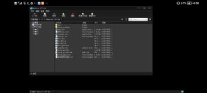 为什么我mobox点了开始游戏没反应-NekoGAL - Galgame传递者