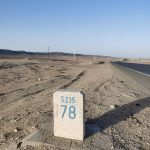 爱吃西红柿的小花花的头像-NekoGAL - Galgame传递者