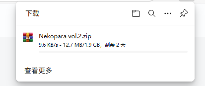 资源下载很慢-NekoGAL - Galgame传递者