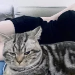 galjj8023的头像-NekoGAL - Galgame传递者